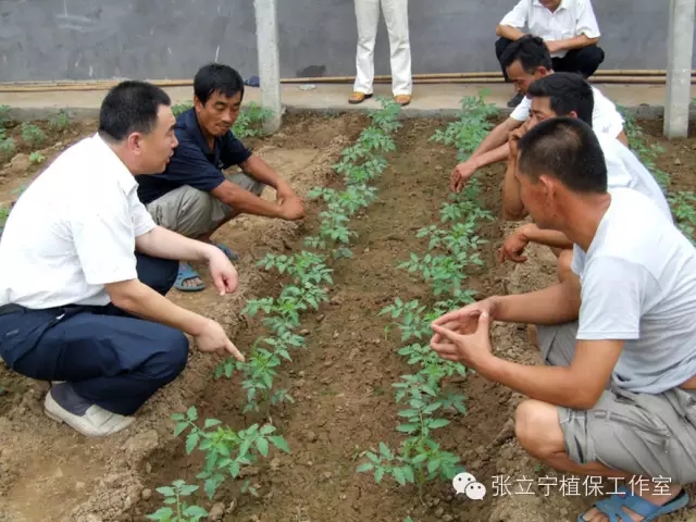 微生物菌劑的使用方法是什麼？注意事項有哪些